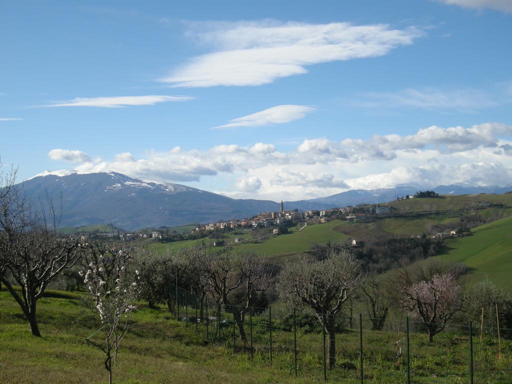 Bed And Breakfast San Martino Castignano Exterior foto